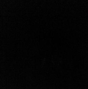 Meet your Posher, Ronald